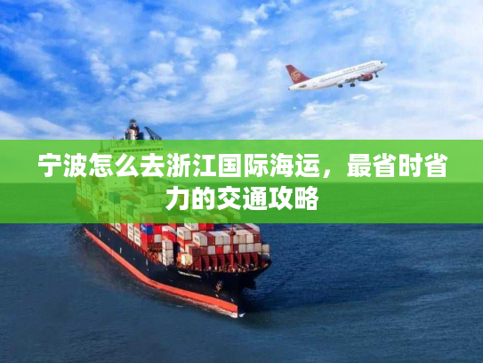 宁波怎么去浙江国际海运，最省时省力的交通攻略