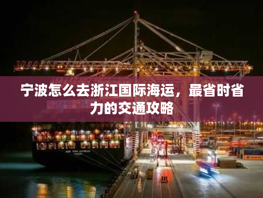 宁波怎么去浙江国际海运，最省时省力的交通攻略