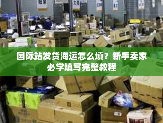 国际站发货海运怎么填？新手卖家必学填写完整教程