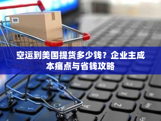 空运到美国提货多少钱？企业主成本痛点与省钱攻略