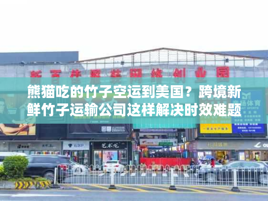 熊猫吃的竹子空运到美国？跨境新鲜竹子运输公司这样解决时效难题！