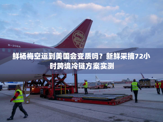 鲜杨梅空运到美国会变质吗？新鲜采摘72小时跨境冷链方案实测