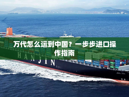 万代怎么运到中国？一步步进口操作指南