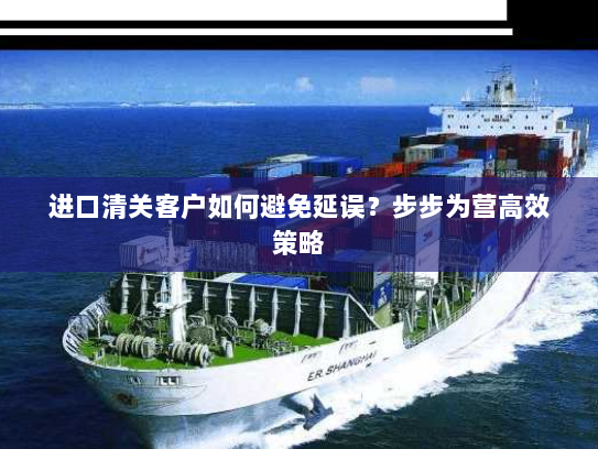 进口清关客户如何避免延误？步步为营高效策略
