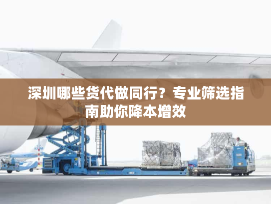 深圳哪些货代做同行?专业筛选指南助你降本增效 深圳哪些货代做同行?专业筛选指南助你降本增效
