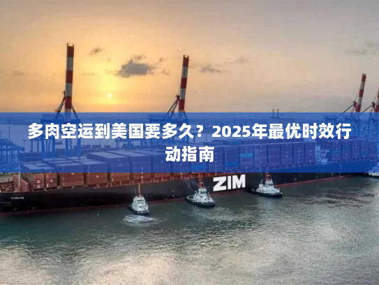 多肉空运到美国要多久？2025年最优时效行动指南