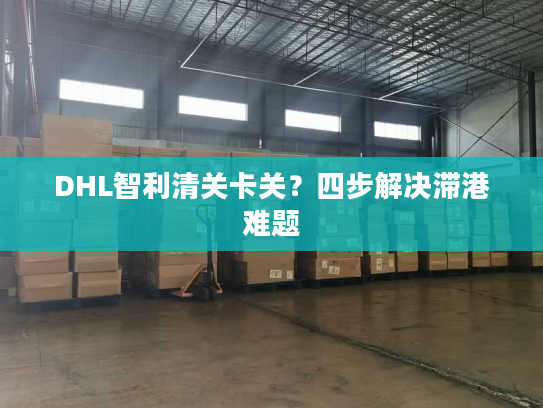 DHL智利清关卡关？四步解决滞港难题