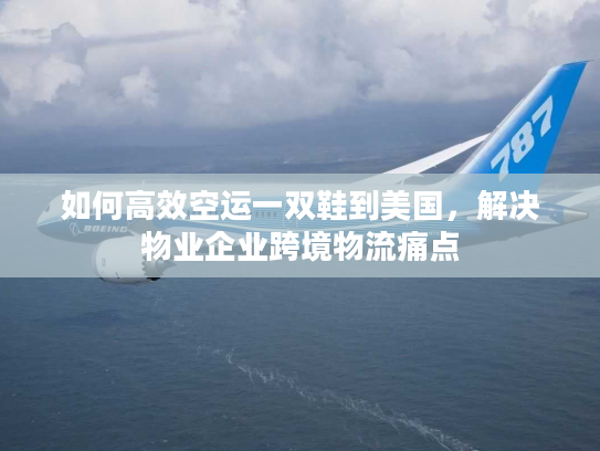如何高效空运一双鞋到美国，解决物业企业跨境物流痛点