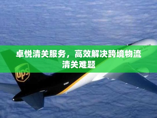 卓悦清关服务,高效解决跨境物流清关难题 卓悦清关服务,高效解决跨境物流清关难题