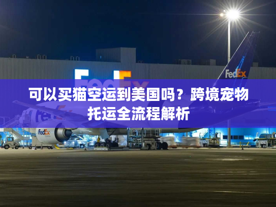 可以买猫空运到美国吗？跨境宠物托运全流程解析