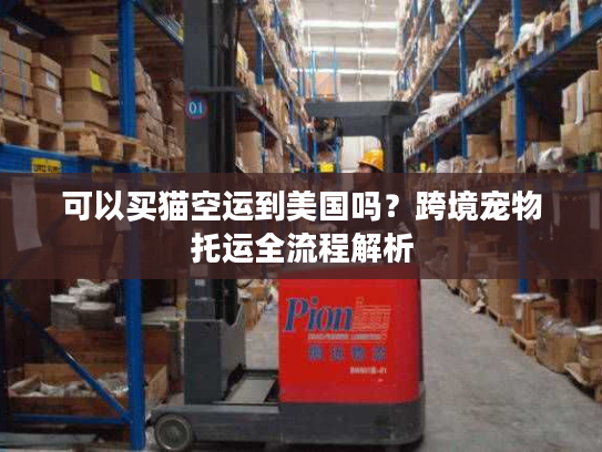 可以买猫空运到美国吗？跨境宠物托运全流程解析
