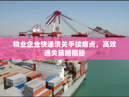 物业企业快递清关手续痛点，高效通关策略揭秘