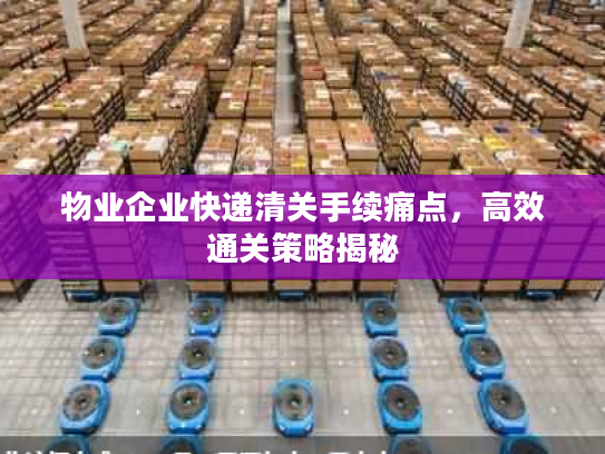 物业企业快递清关手续痛点，高效通关策略揭秘
