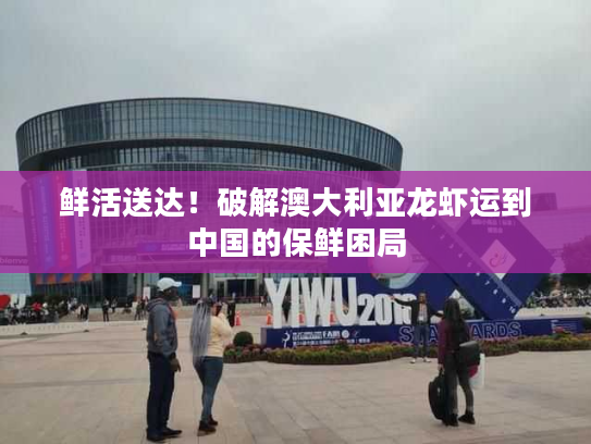 鲜活送达！破解澳大利亚龙虾运到中国的保鲜困局