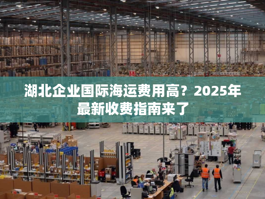 湖北企业国际海运费用高？2025年最新收费指南来了
