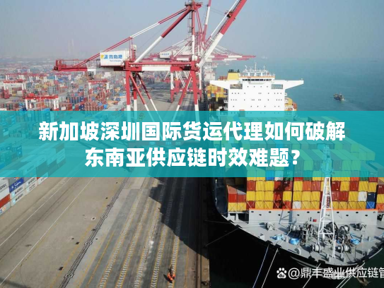 新加坡深圳国际货运代理如何破解东南亚供应链时效难题？