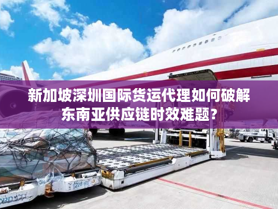 新加坡深圳国际货运代理如何破解东南亚供应链时效难题？