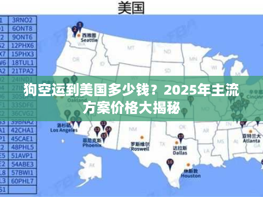 狗空运到美国多少钱？2025年主流方案价格大揭秘