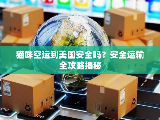 猫咪空运到美国安全吗?安全运输全攻略揭秘 猫咪空运到美国安全吗?安全运输全攻略揭秘