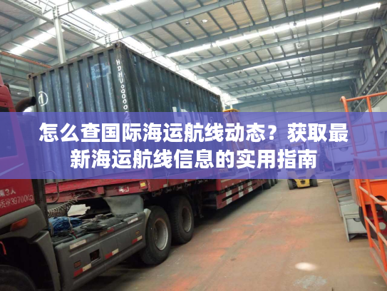 怎么查国际海运航线动态？获取最新海运航线信息的实用指南