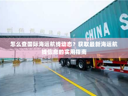 怎么查国际海运航线动态？获取最新海运航线信息的实用指南