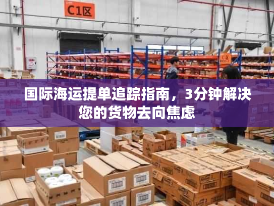 国际海运提单追踪指南，3分钟解决您的货物去向焦虑