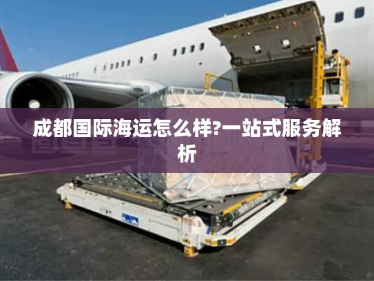 成都国际海运怎么样?一站式服务解析