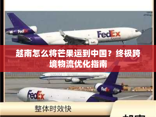 越南怎么将芒果运到中国？终极跨境物流优化指南