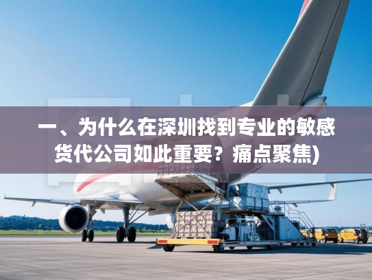 一、为什么在深圳找到专业的敏感货代公司如此重要?痛点聚焦) 一、为什么在深圳找到专业的敏感货代公司如此重要?痛点聚焦)