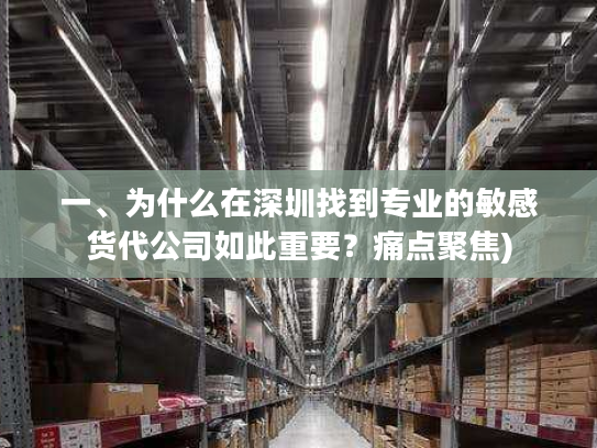 一、为什么在深圳找到专业的敏感货代公司如此重要？痛点聚焦)