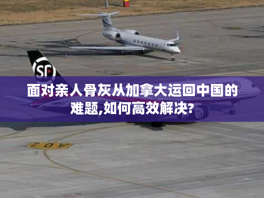面对亲人骨灰从加拿大运回中国的难题,如何高效解决?
