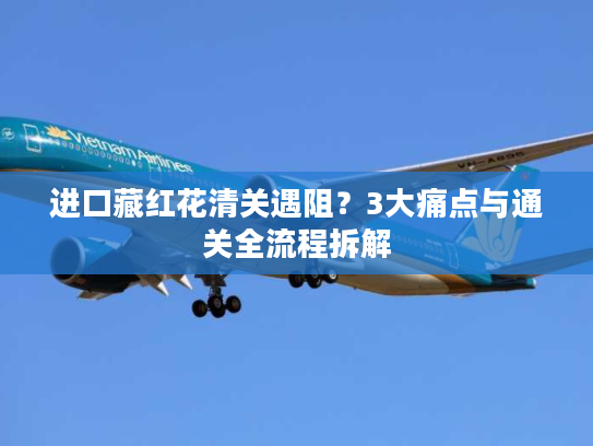 进口藏红花清关遇阻？3大痛点与通关全流程拆解