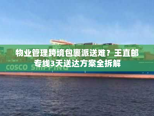 物业管理跨境包裹派送难？王直邮专线3天送达方案全拆解