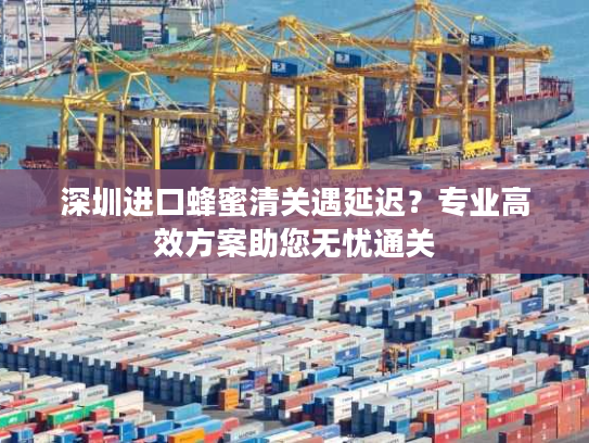 深圳进口蜂蜜清关遇延迟？专业高效方案助您无忧通关