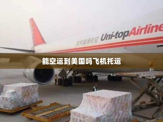 能空运到美国吗飞机托运