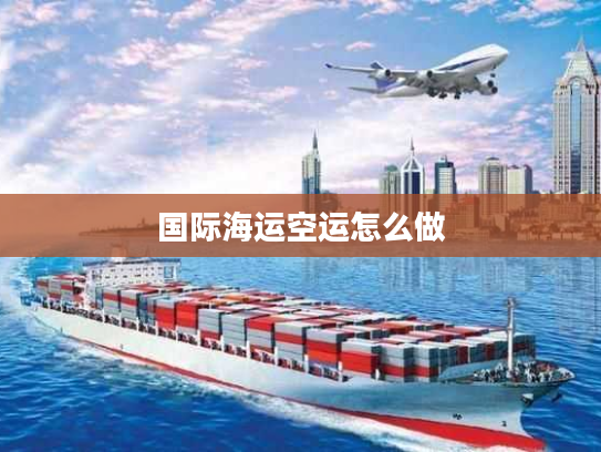 国际海运空运怎么做