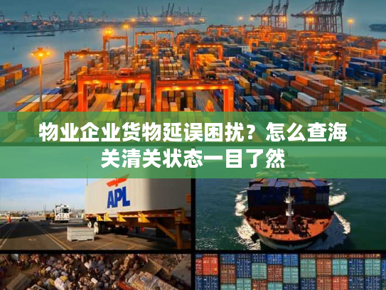 物业企业货物延误困扰？怎么查海关清关状态一目了然