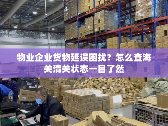 物业企业货物延误困扰？怎么查海关清关状态一目了然