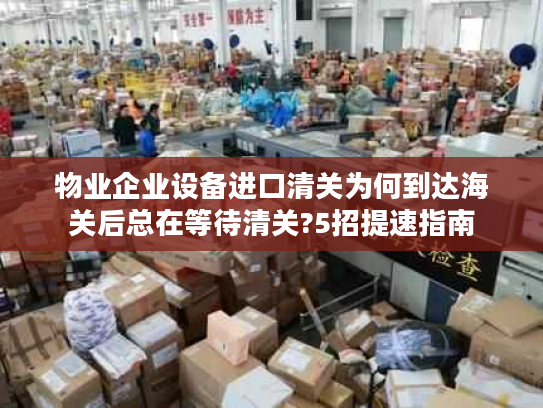 物业企业设备进口清关为何到达海关后总在等待清关?5招提速指南