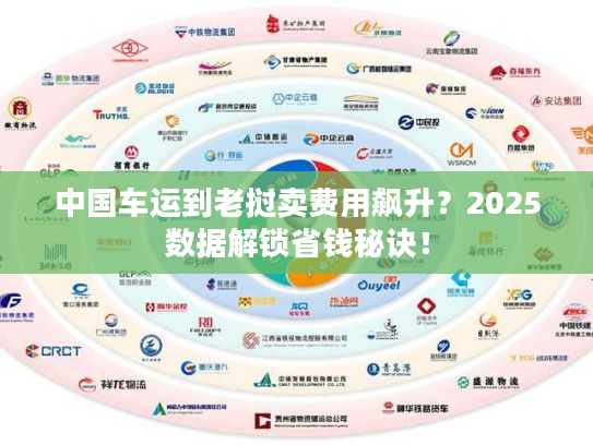 中国车运到老挝卖费用飙升？2025数据解锁省钱秘诀！