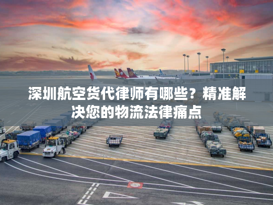 深圳航空货代律师有哪些？精准解决您的物流法律痛点