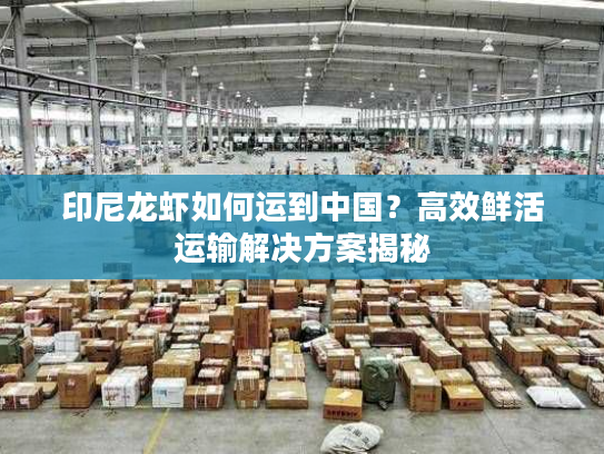 印尼龙虾如何运到中国？高效鲜活运输解决方案揭秘