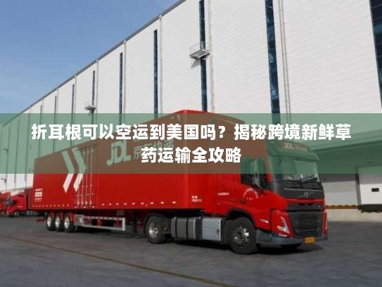 折耳根可以空运到美国吗？揭秘跨境新鲜草药运输全攻略