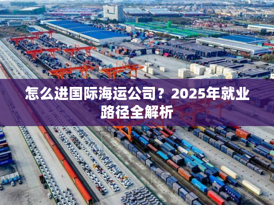 怎么进国际海运公司？2025年就业路径全解析