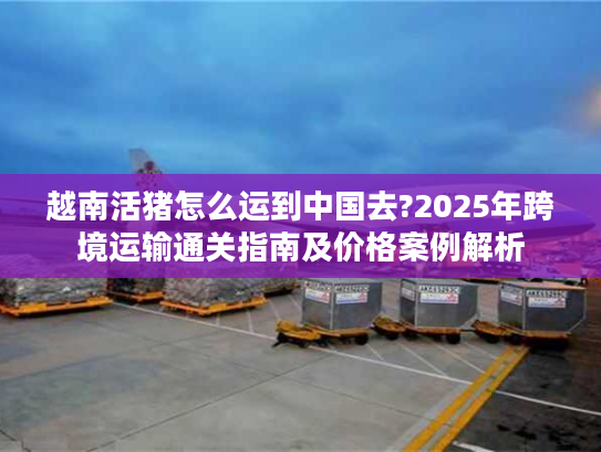 越南活猪怎么运到中国去?2025年跨境运输通关指南及价格案例解析