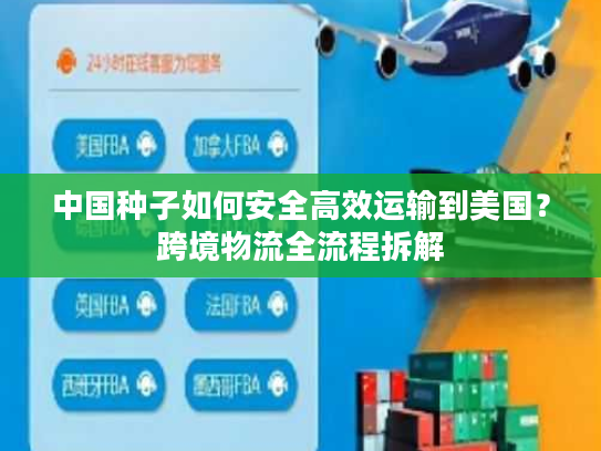 中国种子如何安全高效运输到美国？跨境物流全流程拆解