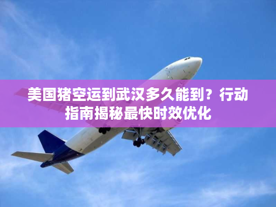 美国猪空运到武汉多久能到？行动指南揭秘最快时效优化