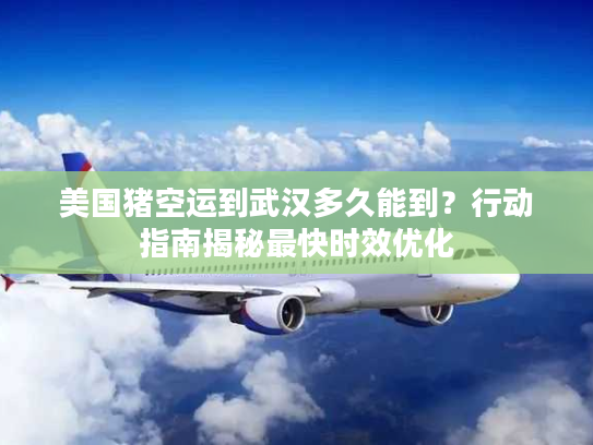 美国猪空运到武汉多久能到？行动指南揭秘最快时效优化