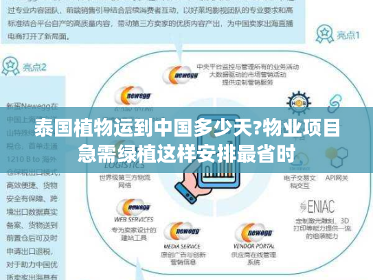 泰国植物运到中国多少天?物业项目急需绿植这样安排最省时