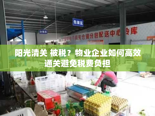 阳光清关 被税？物业企业如何高效通关避免税费负担